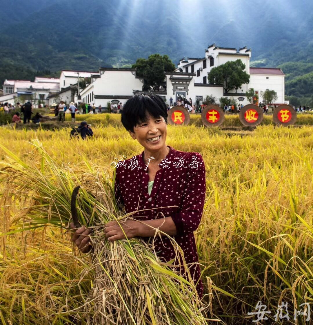 石臺農(nóng)民歡慶“中國學校宣傳欄農(nóng)民豐收節(jié)” （組圖）