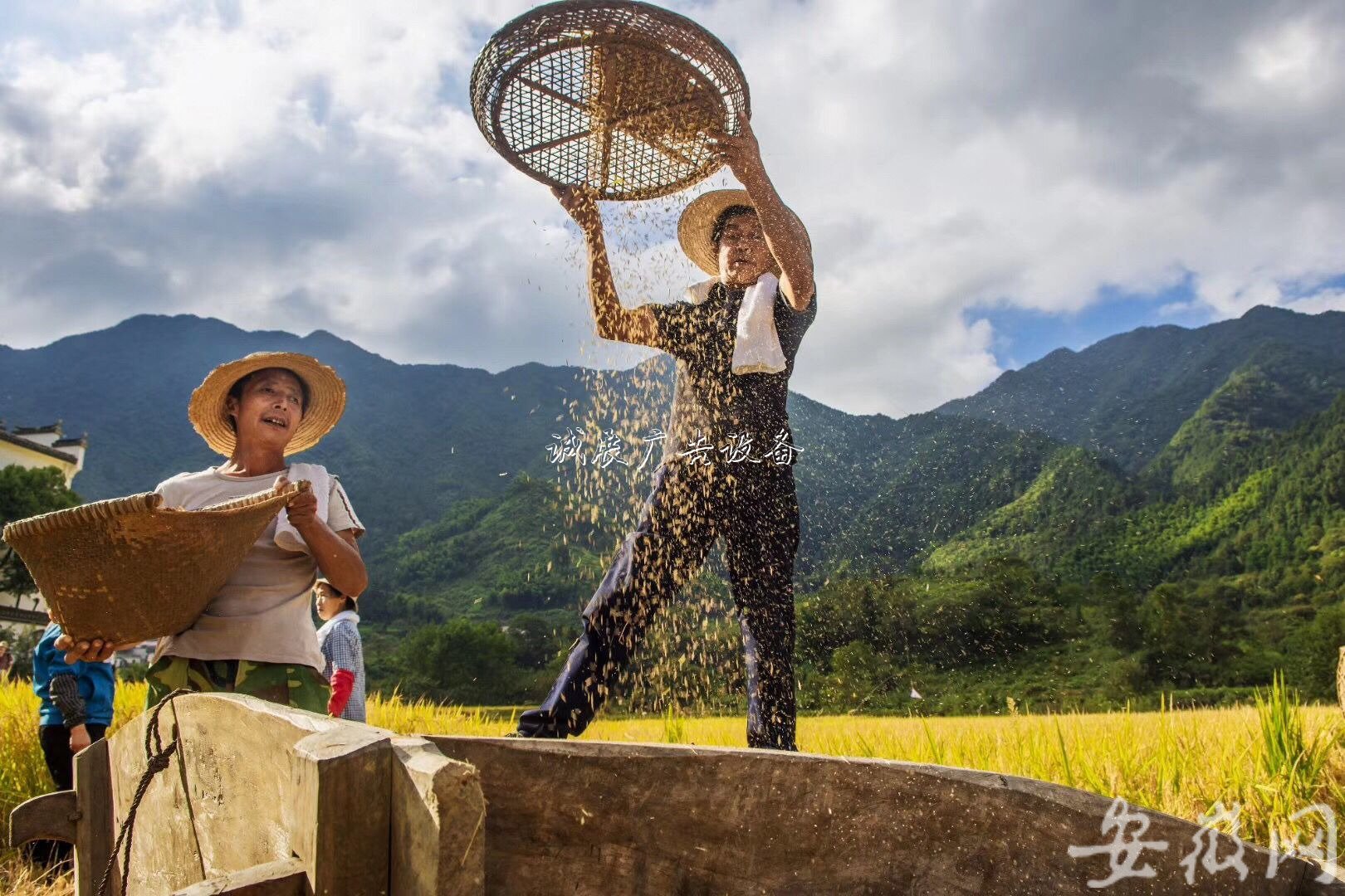 石臺農(nóng)民歡慶“中國學校宣傳欄農(nóng)民豐收節(jié)” （組圖）