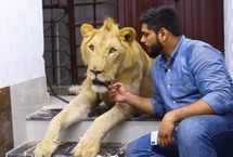 巴基斯坦兄弟飼養(yǎng)雄獅帶其駕車出游來自巴基斯坦卡拉奇的兩兄弟哈姆撒·侯賽因(Hamzah)和哈?！ず钯愐?Hassan Hussain)有著一位非傳統(tǒng)室友：一頭名叫辛巴(Simba)的成年非洲雄獅。這對熱愛動物的兄弟甚至還開車帶辛巴一起旅行。【詳細(xì)】國際新聞｜國際熱圖