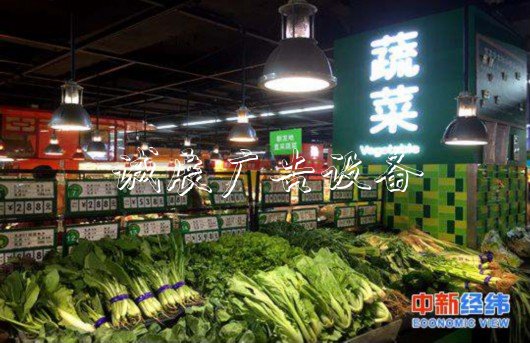 資料圖:蔬菜。中新經(jīng)緯攝