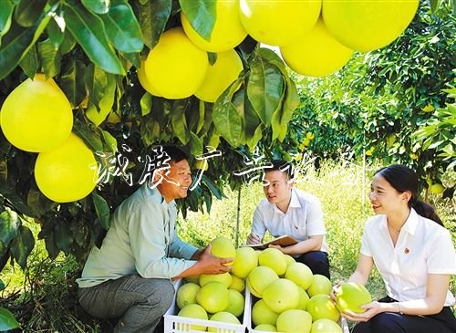 【大美中國(guó)】廣告燈箱多少錢一個(gè)金秋時(shí)節(jié)慶豐收