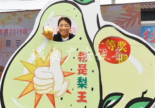 【大美中國(guó)】廣告燈箱多少錢一個(gè)金秋時(shí)節(jié)慶豐收