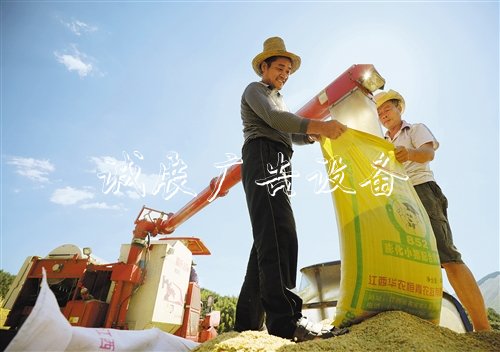【大美中國(guó)】廣告燈箱多少錢一個(gè)金秋時(shí)節(jié)慶豐收