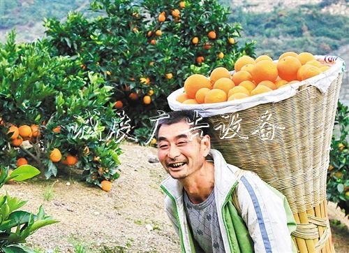 【大美中國(guó)】廣告燈箱多少錢一個(gè)金秋時(shí)節(jié)慶豐收