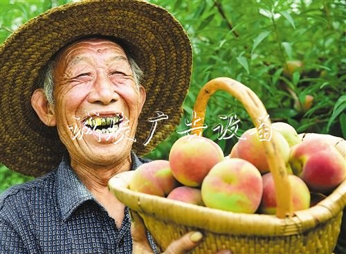 【大美中國(guó)】廣告燈箱多少錢一個(gè)金秋時(shí)節(jié)慶豐收