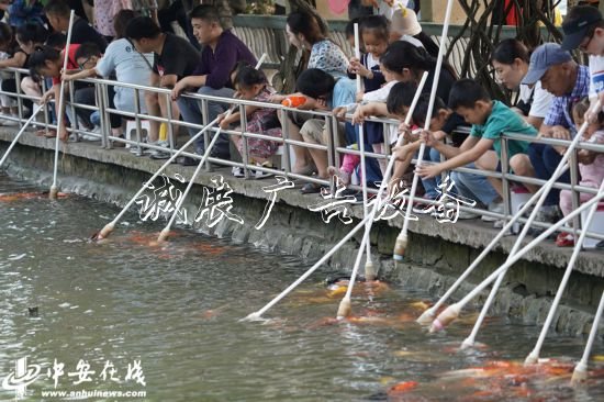 國(guó)慶假期，合肥逍遙垃圾箱津公園游人如織(組圖)