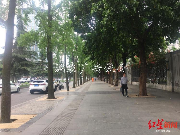 成都街頭垃圾箱消失？宣傳欄 城管委：減量調(diào)整，已拆9001個