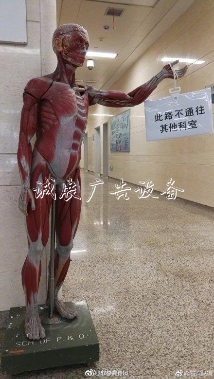 醫(yī)院拿“扒皮人體”當路路牌牌 醫(yī)生：問路的人減少九成