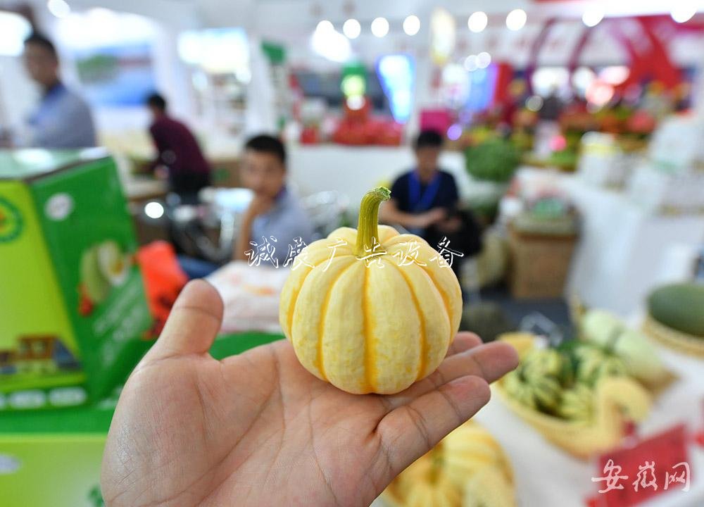 農(nóng)交會上的“分類垃圾亭大”與“小”