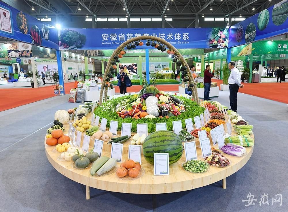 農(nóng)交會上的“分類垃圾亭大”與“小”