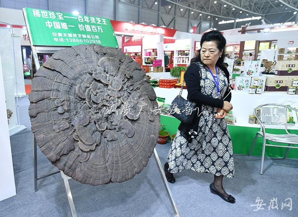 農(nóng)交會上的“分類垃圾亭大”與“小”