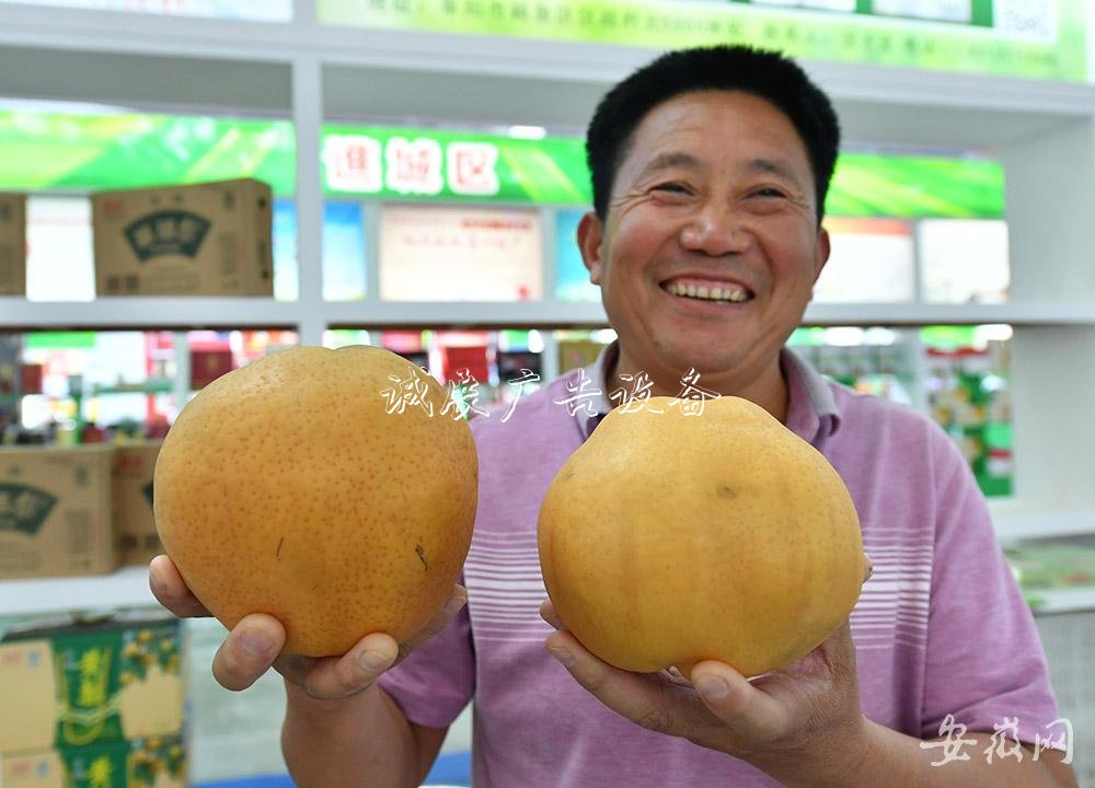 農(nóng)交會上的“分類垃圾亭大”與“小”