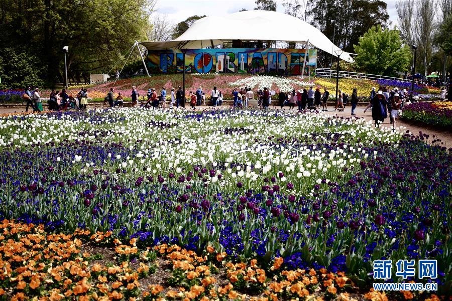 2020國考時(shí)間出爐：垃圾箱10月15日起報(bào)名 11月24日筆試