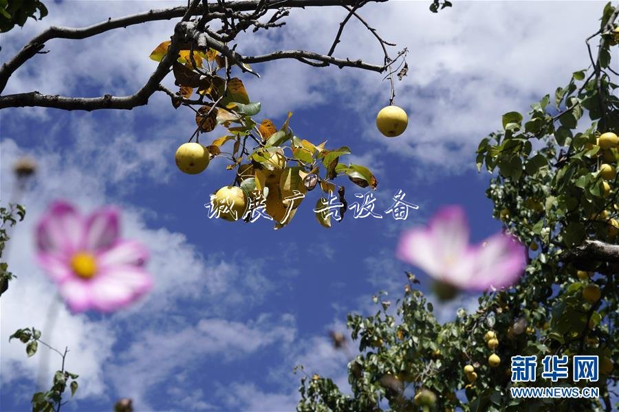 2020國考時(shí)間出爐：垃圾箱10月15日起報(bào)名 11月24日筆試