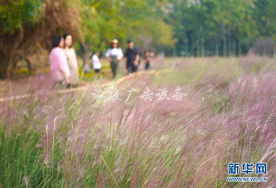 2020國考時(shí)間出爐：垃圾箱10月15日起報(bào)名 11月24日筆試