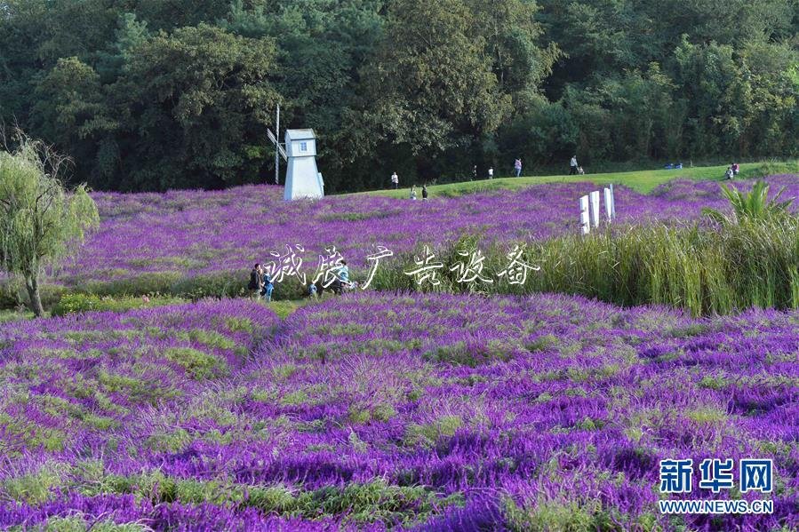 2020國考時(shí)間出爐：垃圾箱10月15日起報(bào)名 11月24日筆試