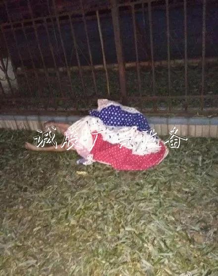 嚇人！這是什么垃圾？打文化宣傳欄開垃圾箱后差點兒魂兒也沒了