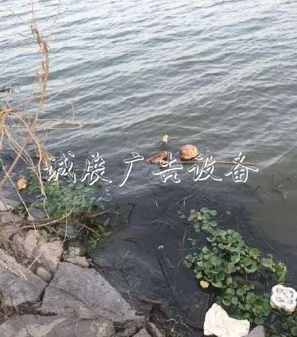 嚇人！這是什么垃圾？打文化宣傳欄開垃圾箱后差點兒魂兒也沒了