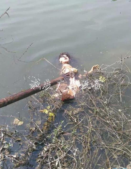 嚇人！這是什么垃圾？打文化宣傳欄開垃圾箱后差點兒魂兒也沒了