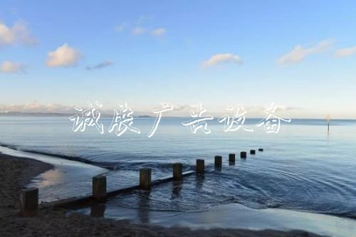 “濰坊書記刷屏式講宣傳欄話”后 山東有何變化？