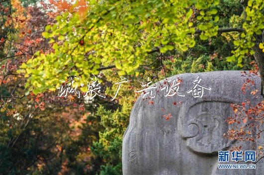 （美麗中國(guó)）（5）金陵古道染秋色