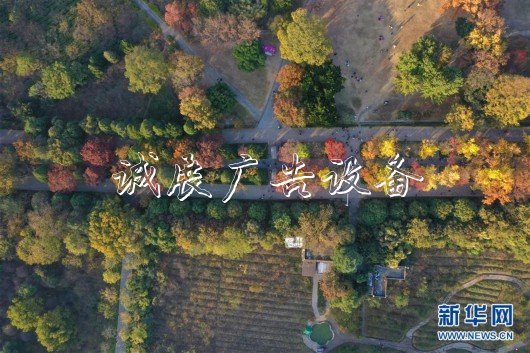 （美麗中國(guó)）（4）金陵古道染秋色
