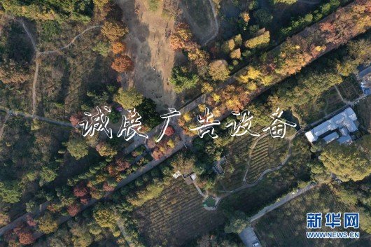 （美麗中國(guó)）（2）金陵古道染秋色