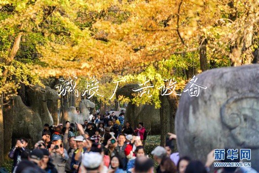 （美麗中國(guó)）（1）金陵古道染秋色