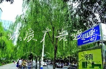“白東西，綠南北”，宣傳欄廠家這句老北京暗語你知道嗎