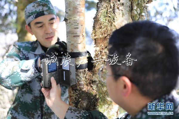 森林巡護(hù)員：野生路牌大熊貓棲息地守護(hù)者