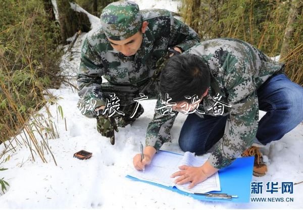 森林巡護(hù)員：野生路牌大熊貓棲息地守護(hù)者