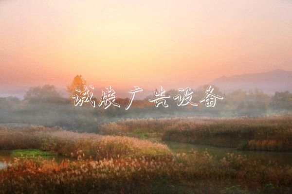 西溪濕地造福杭州路燈燈箱城，他見(jiàn)證10年巨變
