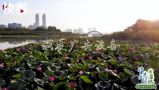 “塞上江南” 明珠璀滾動廣告燈箱璨——我和寧夏有個約會