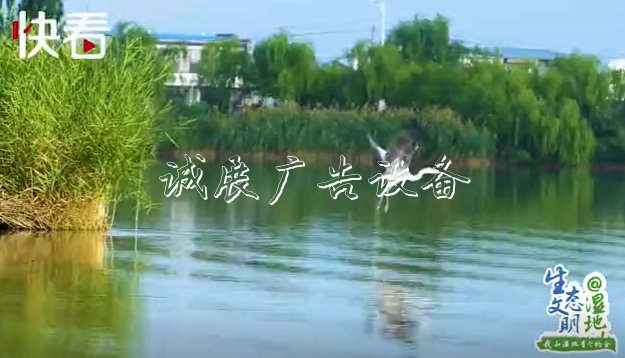 “塞上江南” 明珠璀滾動廣告燈箱璨——我和寧夏有個約會