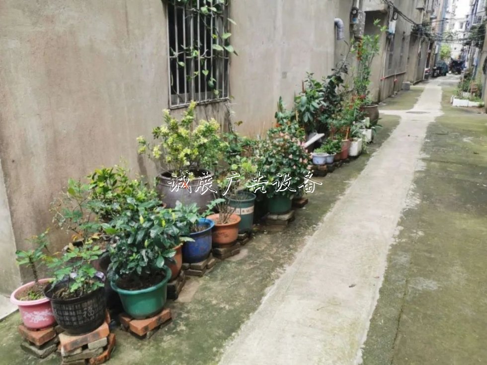 尋跡沿海小鎮(zhèn)，看長樂這個社區(qū)美麗“變身”！