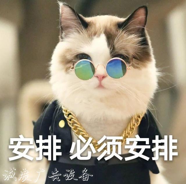 【上觀新聞】就地取材，寶山區(qū)這群環(huán)衛(wèi)工“借”雨水沖刷垃圾箱房，節(jié)水又環(huán)保