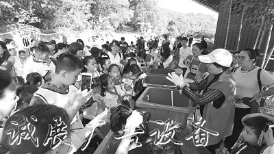 莆田破解垃圾分類三大燈箱難題，鞏固文明城市成果