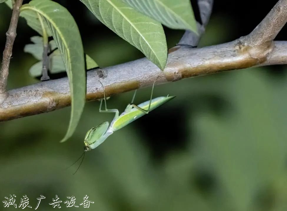 霓虹璀璨的不夜城里，太陽能垃圾桶讓我們一起守護(hù)這片黑暗