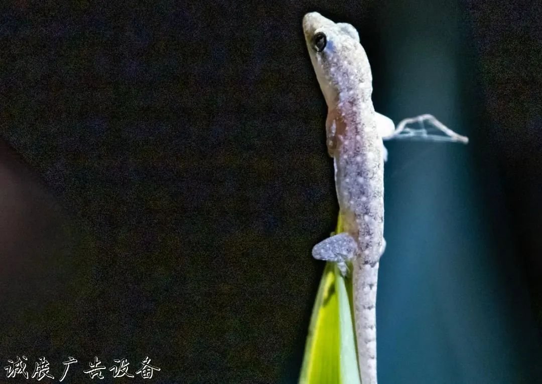 霓虹璀璨的不夜城里，太陽能垃圾桶讓我們一起守護(hù)這片黑暗