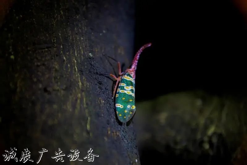 霓虹璀璨的不夜城里，太陽能垃圾桶讓我們一起守護(hù)這片黑暗