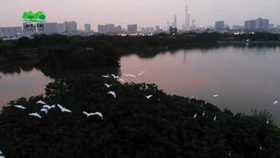 霓虹璀璨的不夜城里，太陽能垃圾桶讓我們一起守護(hù)這片黑暗