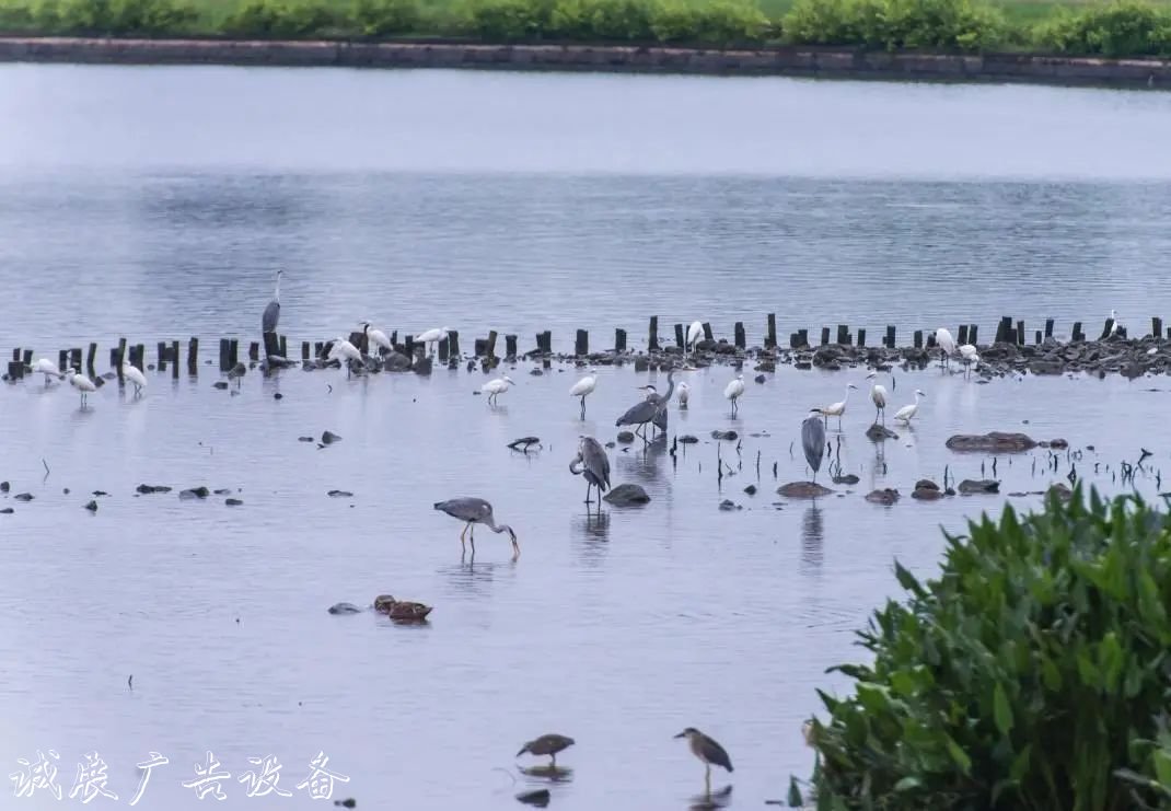 霓虹璀璨的不夜城里，太陽能垃圾桶讓我們一起守護(hù)這片黑暗