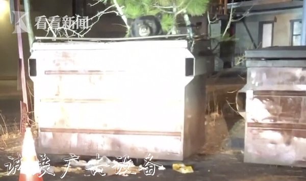 視頻｜巨大貪吃熊被困文化宣傳欄垃圾箱 警方展開(kāi)營(yíng)救行動(dòng)