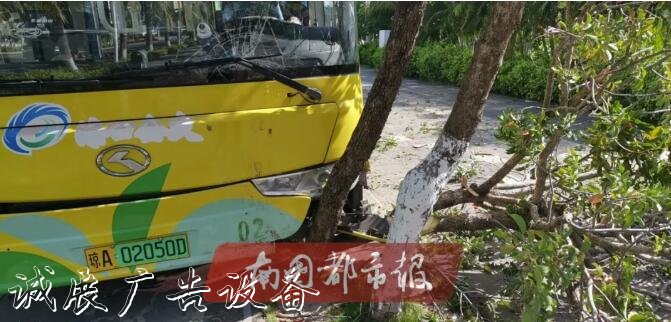 突發(fā)！海甸島一公交接連撞社區(qū)宣傳欄倒路牌和兩棵樹(shù)，還有一輛轎車(chē)…