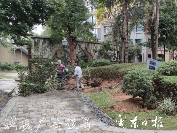 首批82個垃圾分類屋春指路牌燈箱節(jié)前建成！有你家小區(qū)嗎？