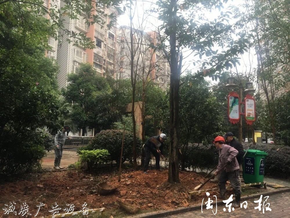首批82個垃圾分類屋春指路牌燈箱節(jié)前建成！有你家小區(qū)嗎？