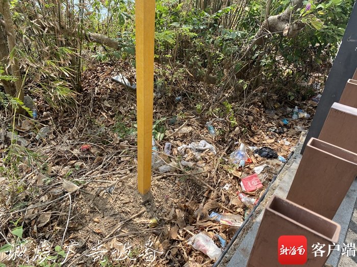 三亞“網(wǎng)紅公路”太陽路燈燈箱灣路旁垃圾遍地 旅游人士