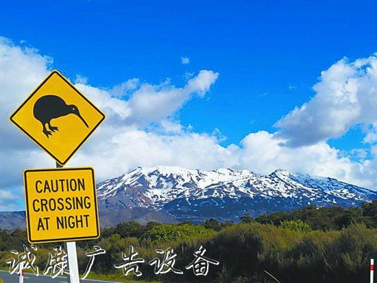 新西蘭路牌，滾動(dòng)燈箱關(guān)懷中帶著笑點(diǎn)